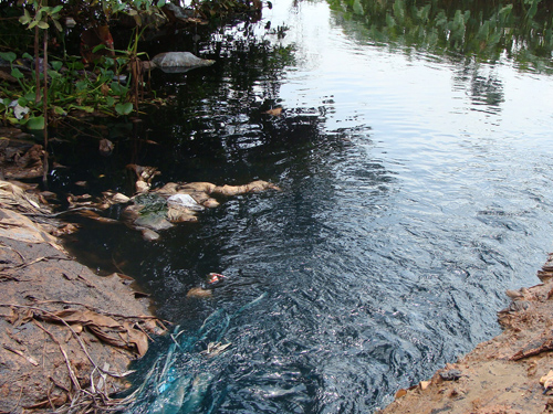 Hiện trạng nước thải tại các công ty và nhà máy tại Bình Dương