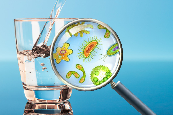 Các loại vi khuẩn, hóa chất gây hại trong nước ngập