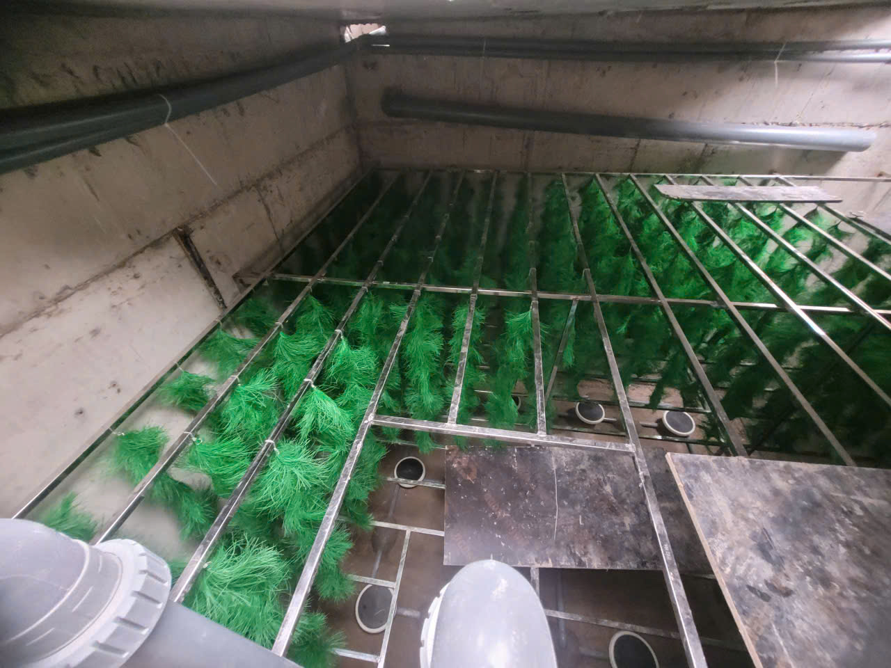 xử lý nước thải tại quảng trị.jpg