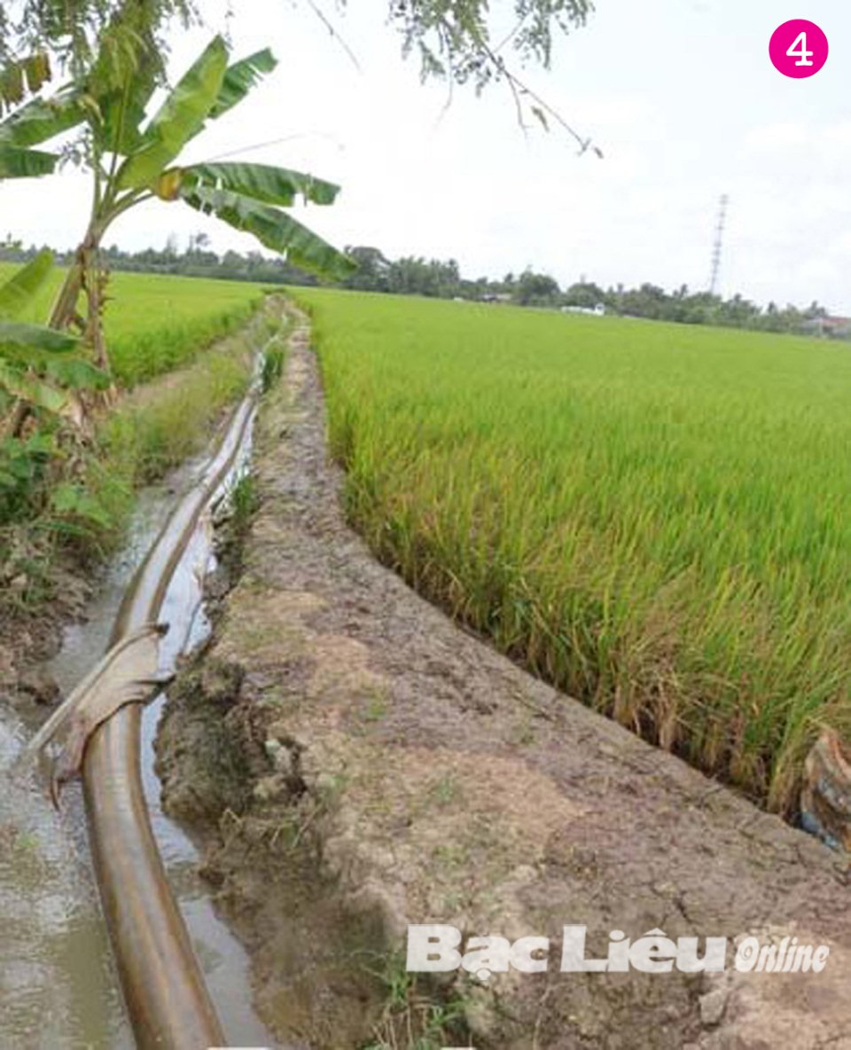 Máy lọc nước tại tỉnh Bạc Liêu
