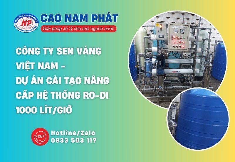 CÔNG TY SEN VÀNG VIỆT NAM - Dự án cải tạo nâng cấp hệ thống RO-DI 1000 lít/giờ 