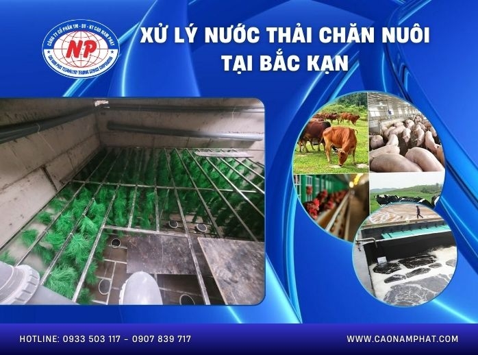Xử lý nước thải chăn nuôi tại Bắc Kạn