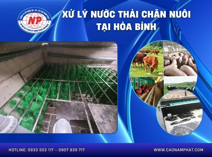 Xử lý nước thải chăn nuôi tại Hòa Bình