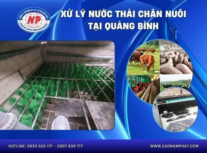 Xử lý nước thải chăn nuôi tại Quảng Bình