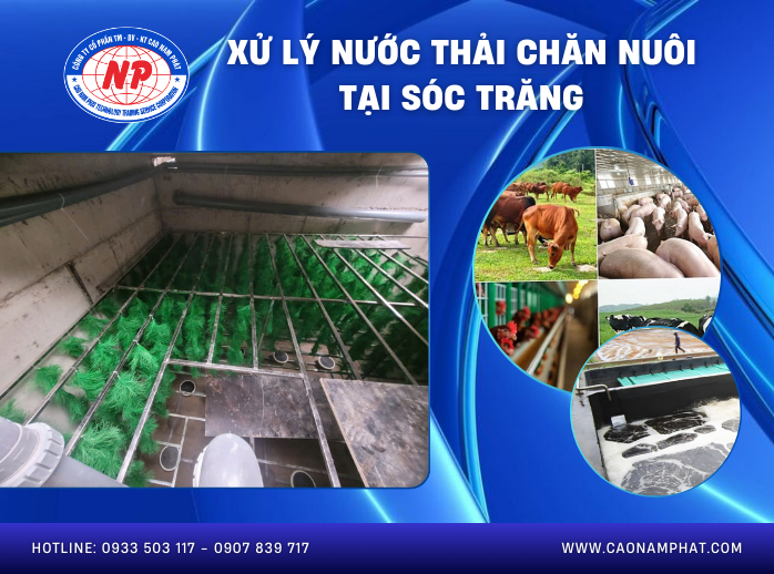 Xử lý nước thải chăn nuôi tại Sóc Trăng