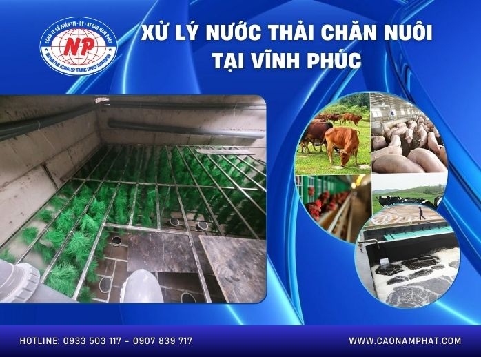 Xử lý nước thải chăn nuôi tại Vĩnh Phúc
